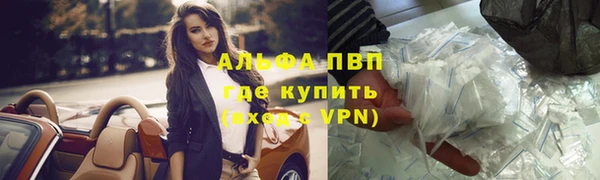 гидра Гусиноозёрск