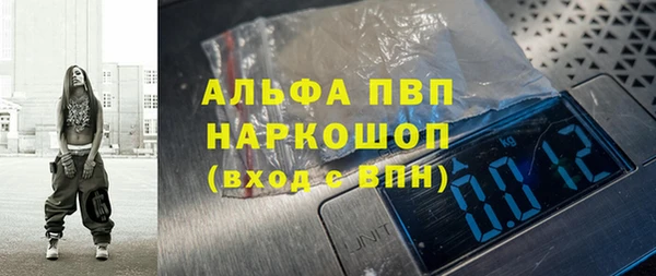 гидра Гусиноозёрск