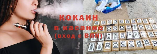 гидра Гусиноозёрск