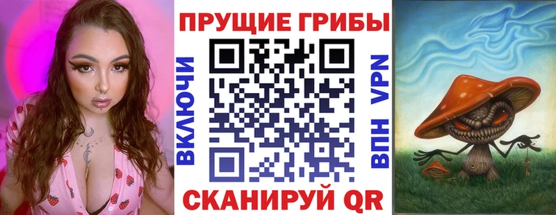 дарк нет какой сайт  Дубовка  Галлюциногенные грибы Psilocybine cubensis 